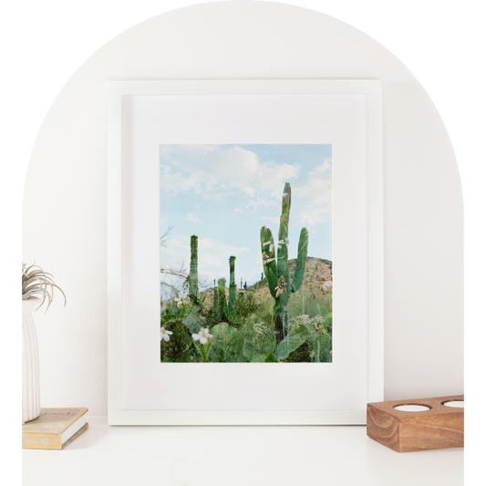 Double Exposure Saguaro Sky 8x10 Art Print