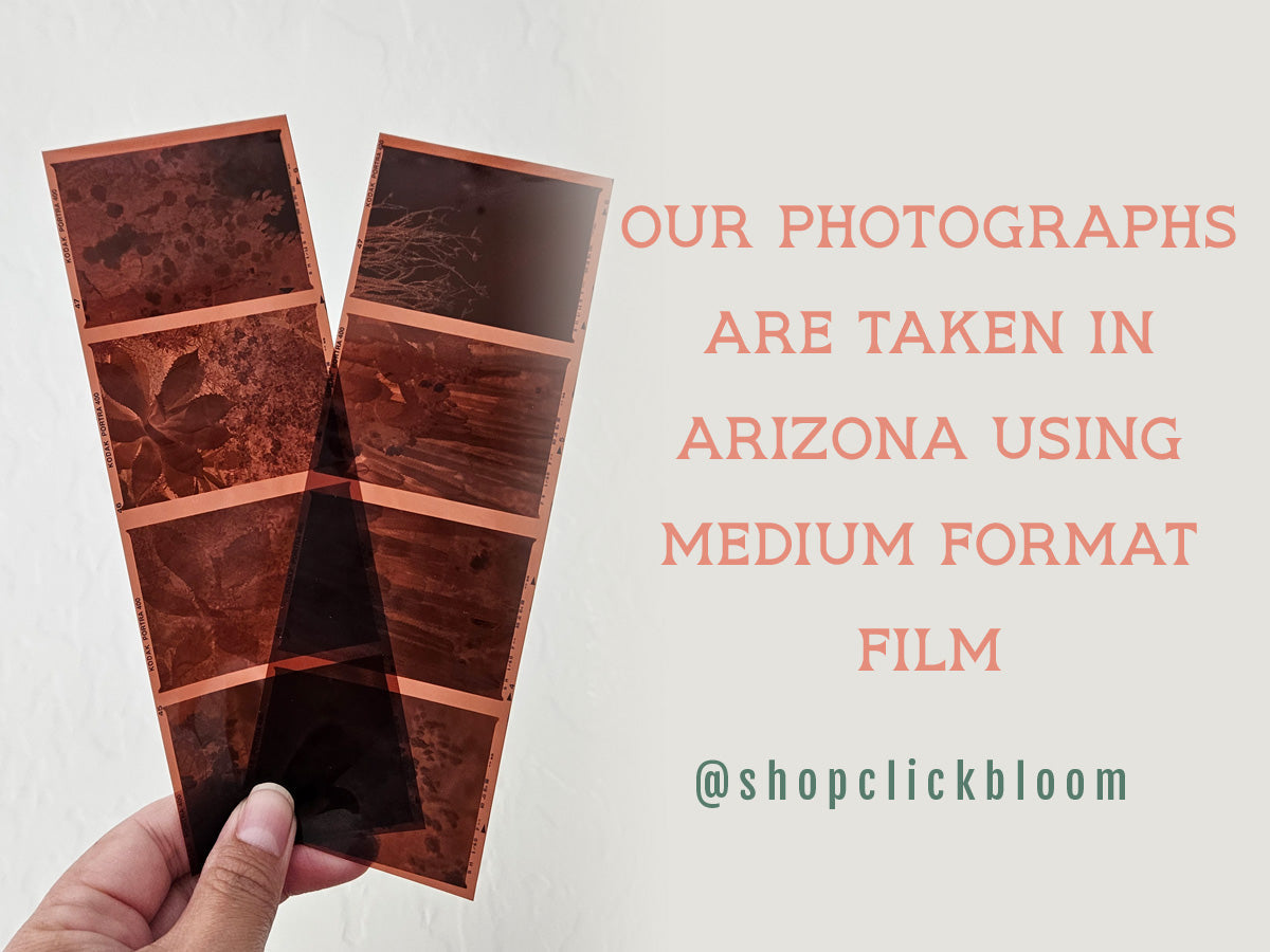 Guardian on Film Art Print