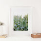 Stories of Water Double Exposure Cactus and Flowers 8x10 Art Print