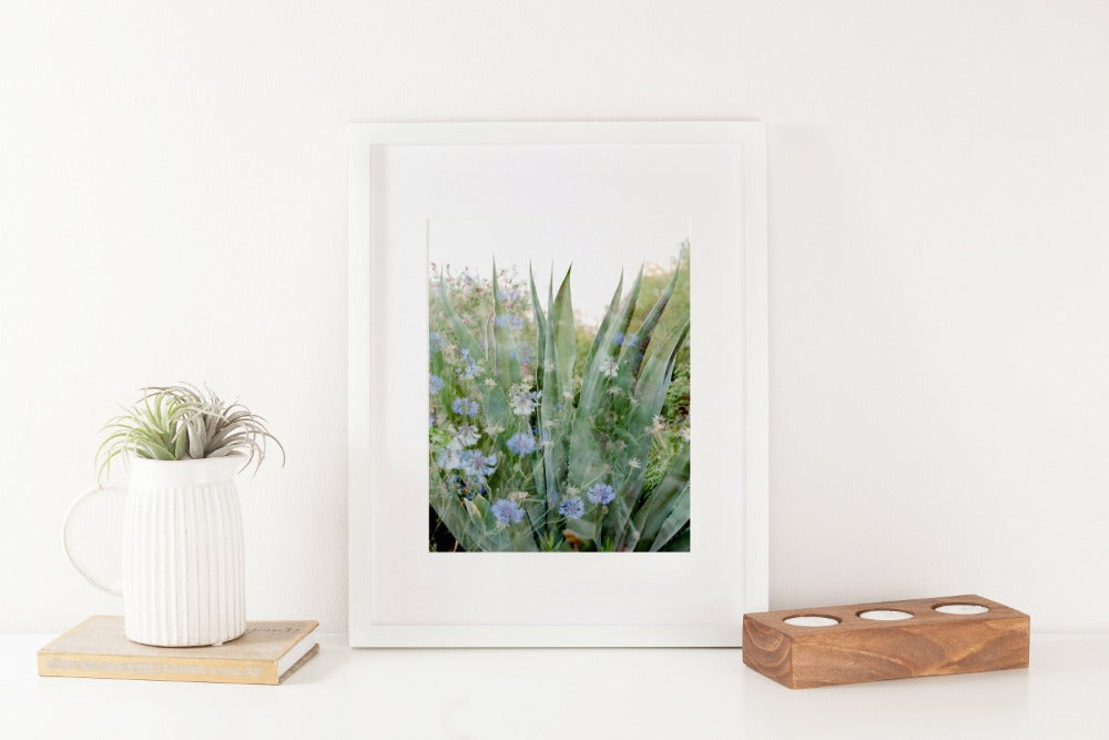 Stories of Water Double Exposure Cactus and Flowers 8x10 Art Print