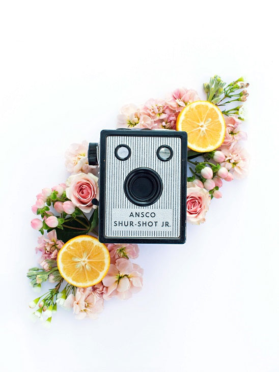 Vintage Camera Lemons Art Print
