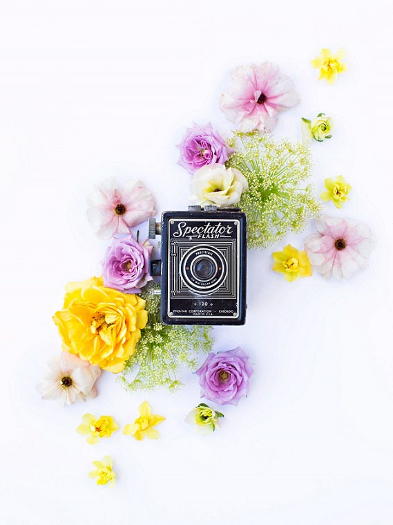 Vintage Camera Spectator Art Print