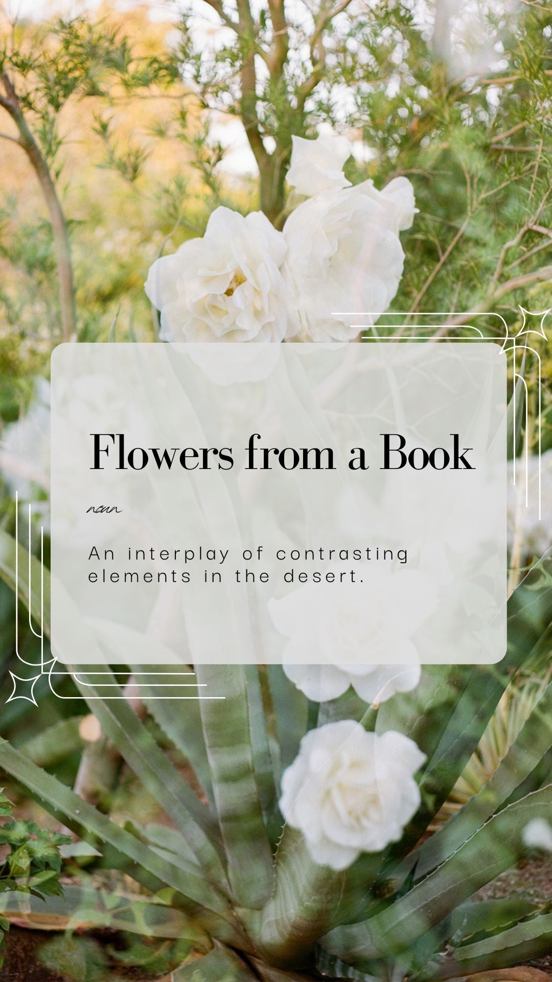 Flowers from a Book Film Art Print