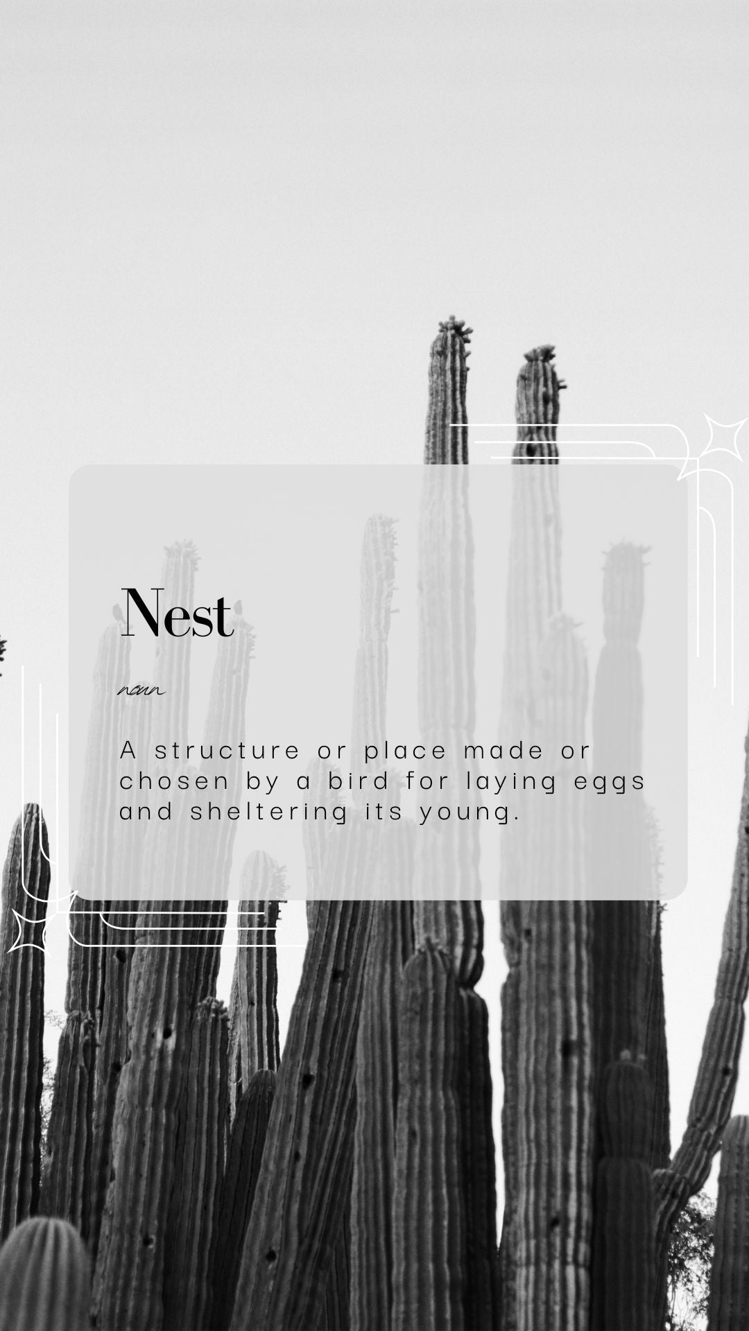 Nest on Film Art Print