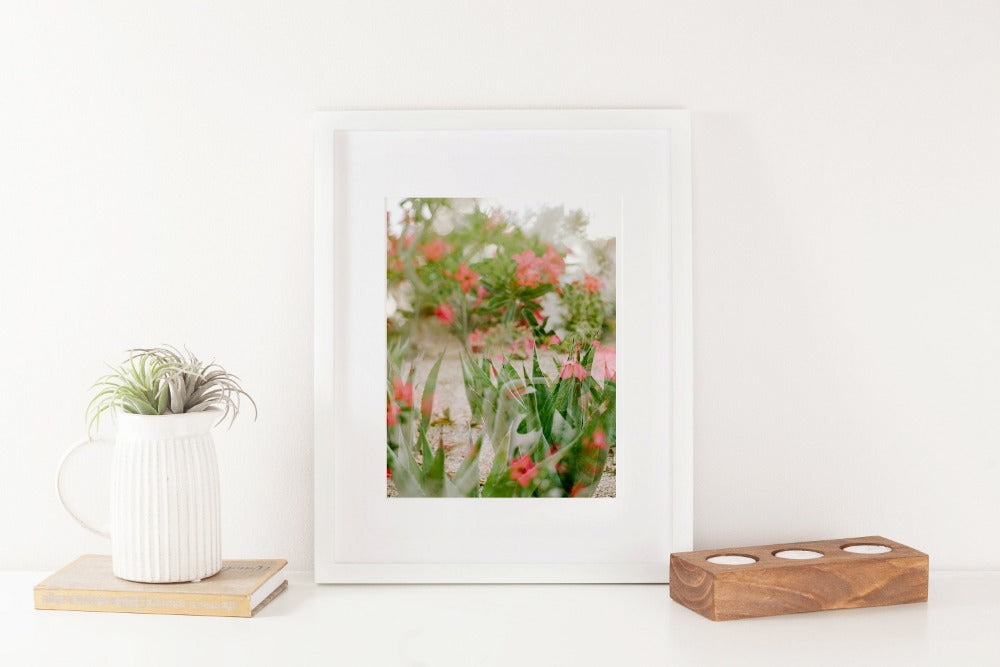 Garden Dreamer Double Exposure Cactus Flowers 8x10 Art Print