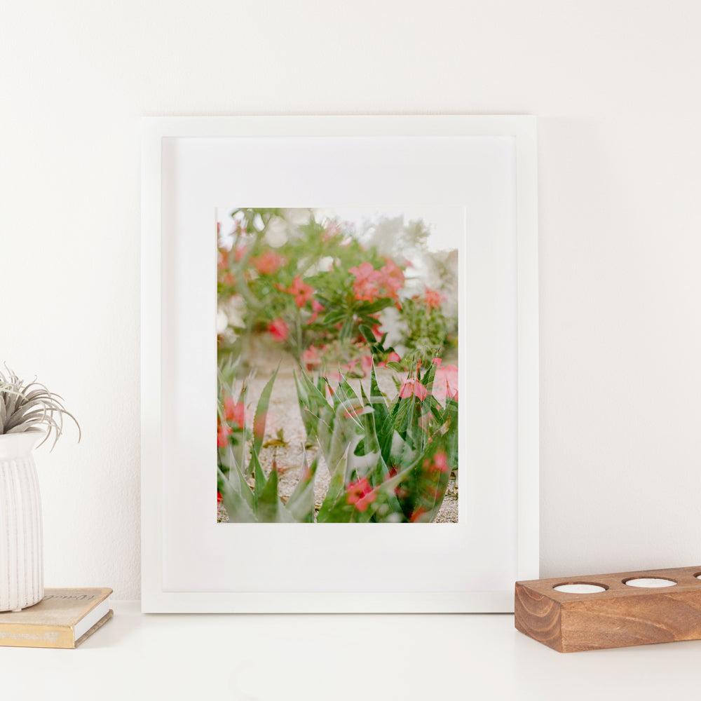 Garden Dreamer Double Exposure Cactus Flowers 8x10 Art Print