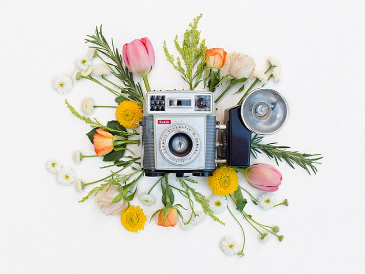 Spring And Camera Vintage Camera Spring Art Print – Click Bloom